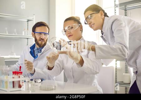 Gruppo di scienziati felici che fanno la ricerca microbiologica nel laboratorio di scienza moderna Foto Stock