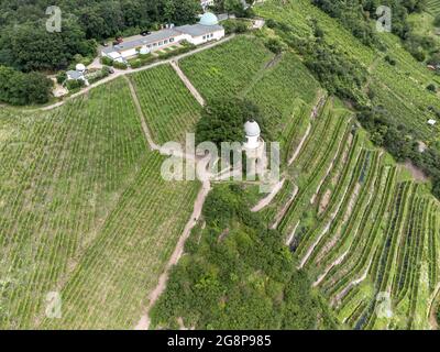 Vista aerea di un vigneto in Sassonia Foto Stock