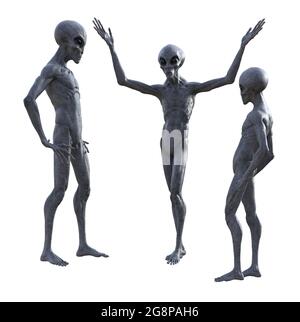 illustrazione 3d di due alieni grigi che guardano un altro extraterrestre con le mani in aria come se parlasse isolato su uno sfondo bianco. Foto Stock