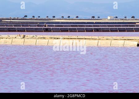 Splendido paesaggio delle saline rosa delle saline di San Pedro del Pinatar, provincia di Murcia, Spagna Foto Stock