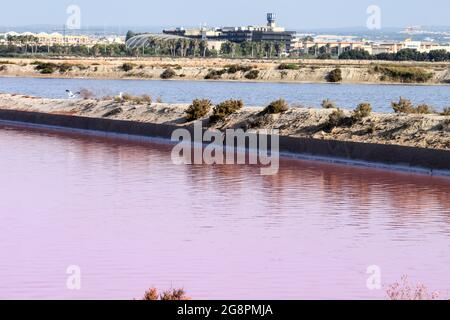 Splendido paesaggio delle saline rosa delle saline di San Pedro del Pinatar, provincia di Murcia, Spagna Foto Stock