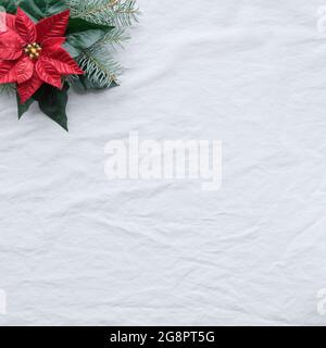 Piatto di Natale con spazio per la copia. Poinsettia rossa, albero di Natale, ramoscelli di abete. Vista dall'alto su sfondo bianco color avorio. Composizione degli angoli, spazio Foto Stock