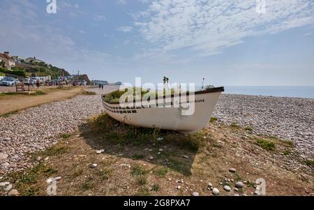 Budleigh in Bloom barca commemorativa floreale sulla spiaggia, Budleigh Salterton, una piccola città costiera con una spiaggia di pietra, East Devon, Inghilterra sud-occidentale Foto Stock