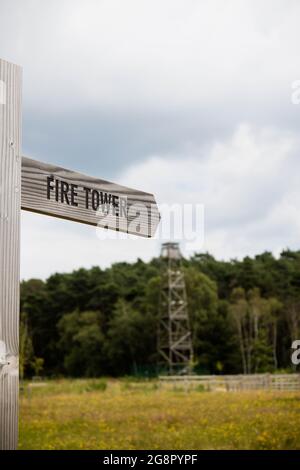 Un cartello che indica una vecchia torre di avvistamento incendi situata nella foresta di Buckler Crowthrone, nel Regno Unito meridionale Foto Stock