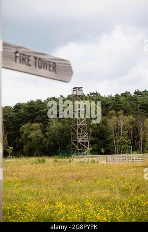 Un cartello che indica una vecchia torre di avvistamento incendi situata nella foresta di Buckler Crowthrone, nel Regno Unito meridionale Foto Stock