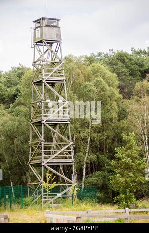 Una vecchia torre di avvistamento incendi situata nella foresta di Buckler Crowthrone, nel Regno Unito meridionale Foto Stock