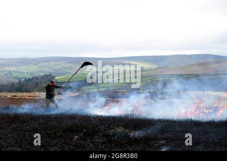 Tom Adamson, Gamekeeper della Bolton Abbey Estate utilizza un Batter per soffocare le fiamme durante l'ustioni di Moorland su Barden Moor nelle valli dello Yorkshire Foto Stock