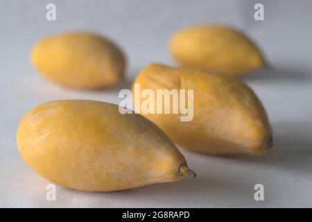 Totapuri mango o Ginimoothi è una cultivar che è ampiamente coltivato in India del sud ed è parzialmente coltivato in Sri Lanka. Scatto su sfondo bianco Foto Stock