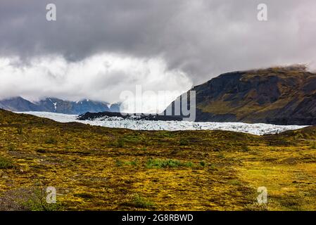 Primo piano del ghiacciaio Svinafellsjokull a Skaftafell, Islanda Foto Stock