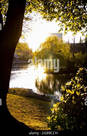 Il bellissimo stagno di Schwanenspiegel di Dusseldorf al tramonto con una piccola isola Foto Stock