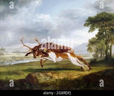 Hound che corteggiava uno Stag di George Stubbs (1724-1806), olio su tela, c.1762. Foto Stock