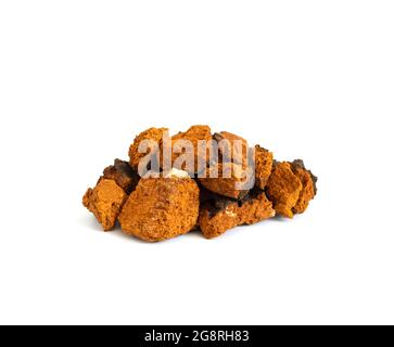 Fungo Chaga isolato su sfondo bianco. Pezzi di fungo chaga. Inonotus oblio. Foto Stock