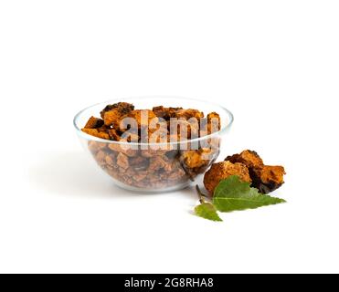 Fungo Chaga. Chaga tritata in una ciotola e foglie di betulla isolate su sfondo bianco. Inonotus oblio. Foto Stock