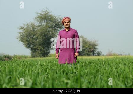 preoccupatevi di meno, agricoltore indiano in piedi piegato a mano nel suo campo di grano sano e sboccando Foto Stock