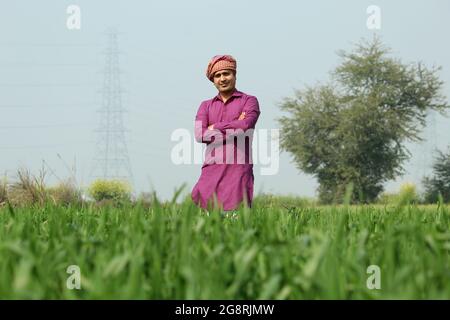 preoccupatevi di meno, agricoltore indiano in piedi piegato a mano nel suo campo di grano sano e sboccando Foto Stock