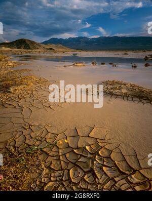 Amargosa River, Saratoga Springs, Avawatz montagne, Parco Nazionale della Valle della Morte, California Foto Stock