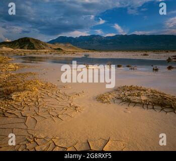 Amargosa River, Saratoga Springs, Avawatz montagne, Parco Nazionale della Valle della Morte, California Foto Stock