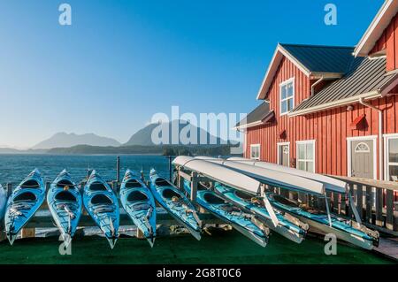 Kayak da mare, 'Remote Passges, escursioni marine", Tofino, British Columbia, Canada Foto Stock