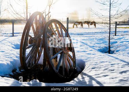 Ruote di carri, inverno, 83 Mile House, Regione Cariboo, British Columbia, Canada Foto Stock