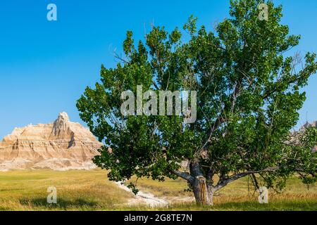 Buttes e Canyons si trovano in tutto il Badlands National Park Foto Stock