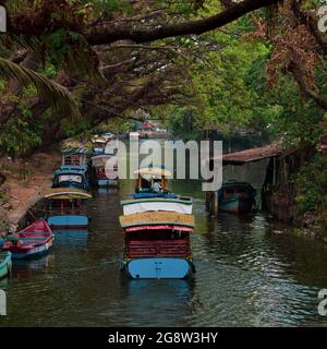 Casa barche attraverso le acque alappuzha indietro Foto Stock