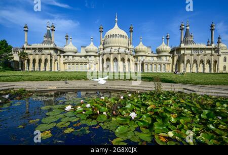 Brighton UK 23 luglio 2021 - il Royal Pavilion a Brighton su una bella mattina di sole, ma il tempo è previsto per diventare più fresco e più irrisolto durante il fine settimana con avvertimenti di inondazione di flash per alcune aree: Credit Simon Dack / Alamy Live News Foto Stock