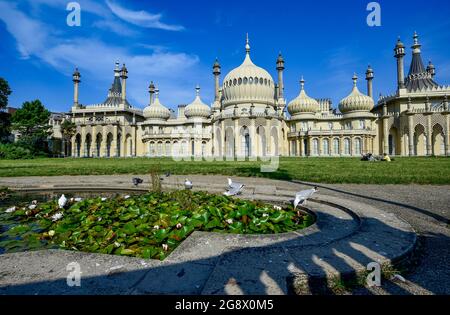 Brighton UK 23 luglio 2021 - Seagulls e piccioni prendere un drink da uno stagno presso il Royal Pavilion a Brighton in una bella mattina di sole, ma il tempo è previsto per diventare più fresco e più inregolato durante il fine settimana con avvertimenti di flash inondazioni per alcune aree : Credit Simon Dack / Alamy Live News Foto Stock