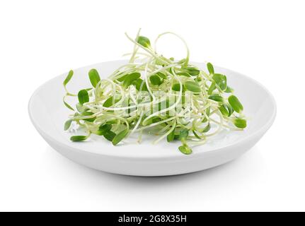 germogli di girasole verdi giovani in piastra su sfondo bianco Foto Stock