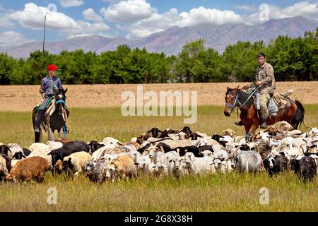 Padre e mandrie di figli a cavallo a Saryozek, Kazakistan Foto Stock