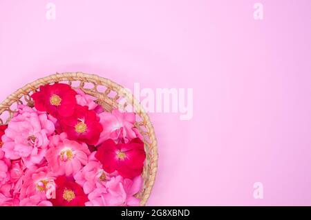 Cesto di rose in fiore e fiori di peonia isolato su uno sfondo rosa con spazio libero per il testo Foto Stock