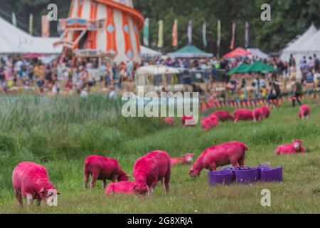 Henham Park, Suffolk, Regno Unito. 23 luglio 2021. Il relax delle pecore rosa - il 2021 Latitude Festival, Henham Park. Suffolk, torna come un evento di test covid dopo un anno di distanza a causa della pandemia. Credit: Guy Bell/Alamy Live News Foto Stock