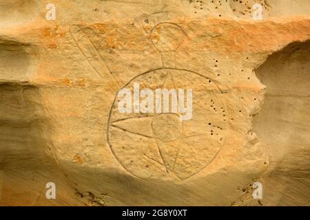 Petroglyph, Rosebud Battlefield state Park, Montana Foto Stock