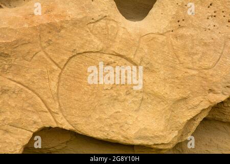 Petroglyph, Rosebud Battlefield state Park, Montana Foto Stock
