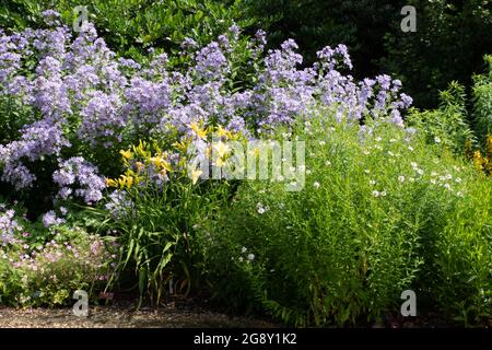 Il giardino rialzato del letto breezy ginocchia giardini Foto Stock