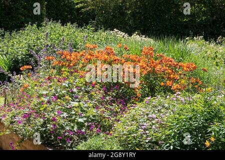 Il giardino rialzato del letto breezy ginocchia giardini Foto Stock