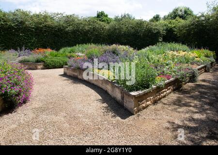 Il giardino rialzato del letto breezy ginocchia giardini Foto Stock