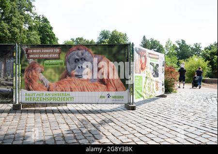 Dresda, Germania. 23 luglio 2021. Una recinzione di costruzione presso lo Zoo di Dresda circonda l'area della futura casa ape per gli orangotani. Il completamento dell'edificio è previsto per l'autunno 2023 ed è anche il più grande progetto di costruzione dello zoo fino ad oggi. Credit: Sebastian Kahnert/dpa-Zentralbild/dpa/Alamy Live News Foto Stock