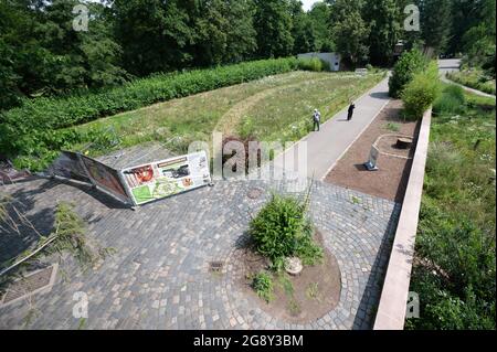 Dresda, Germania. 23 luglio 2021. Una recinzione di costruzione presso lo Zoo di Dresda circonda l'area della futura casa ape per gli orangotani. Il completamento dell'edificio è previsto per l'autunno 2023 ed è anche il più grande progetto di costruzione dello zoo fino ad oggi. Credit: Sebastian Kahnert/dpa-Zentralbild/dpa/Alamy Live News Foto Stock