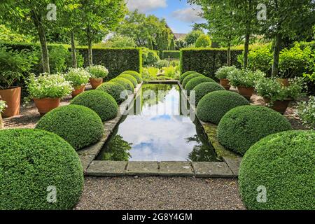 Il laghetto e il topiary al Giardino superiore di Rill a Wollerton Old Hall Gardens giardino Wollerton Market Drayton Shropshire Inghilterra Regno Unito Foto Stock