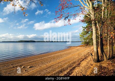 Hamilton Branch State Park, South Carolina. L'immagine mostra la spiaggia, il lago e gli alberi. Stagione autunnale. Foto Stock