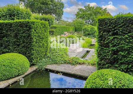 Il laghetto e il topiary al Giardino di Upper Rill guardando verso il Rill inferiore a Wollerton Old Hall Gardens, Market Drayton, Shropshire, Inghilterra, Regno Unito Foto Stock