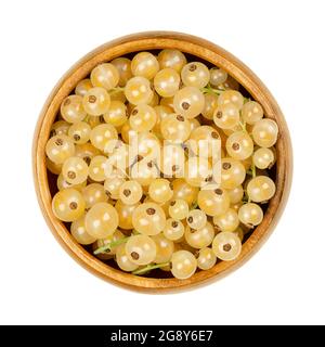 Bacche di ribes bianco, in una ciotola di legno. Bacche bianche fresche mature, frutti sferici commestibili di Ribes rubrum, una cultivar di ribes rosso. Foto Stock