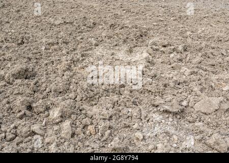 Grumi secchi di terra in campo britannico. Per le ondate di calore del 2021, la siccità, la terra arida, le perdite di raccolto, le ondate di calore europee o statunitensi, la stagione estiva calda, i terreni agricoli asciutti. Foto Stock