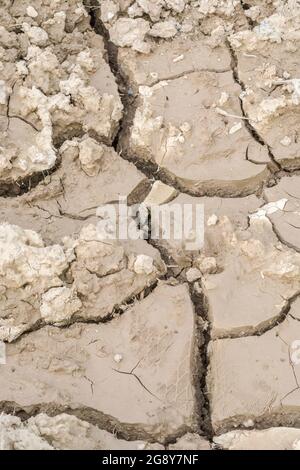 Colpo di campo secco incrinato. Per 2022 onda di calore, siccità nel Regno Unito, terra arata, perdite di raccolto, europea / Stati Uniti onda di calore, calda stagione estiva, terreni agricoli secchi nel Regno Unito Foto Stock