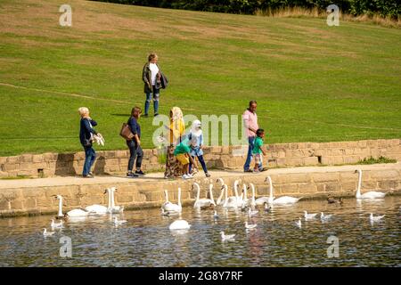 Intorno al Roundhay Park di Leeds, la famiglia si riunisce per nutrire i cigni bianchi che abitano il lago Waterloo, West Yorkshire, Regno Unito. Foto Stock