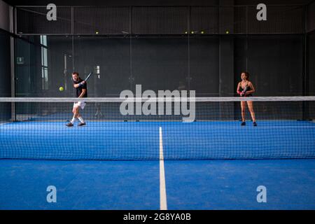 Fiammifero misto in un campo di risaie in erba blu al coperto dietro la rete Foto Stock