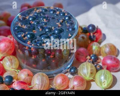 Ribes in un bicchiere d'acqua con il cubetto di ghiaccio. Mirtilli d'oca colorati sparsi intorno. Foto Stock