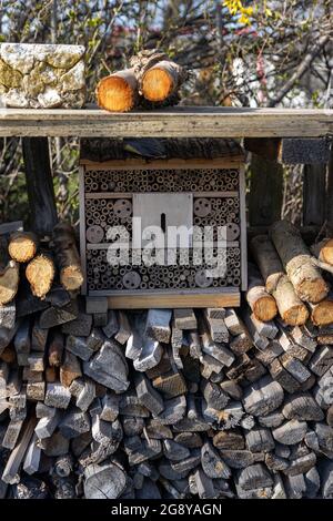 Una casa di insetti per api, mosche e tutti i tipi di insetti nel giardino in primavera. Foto Stock