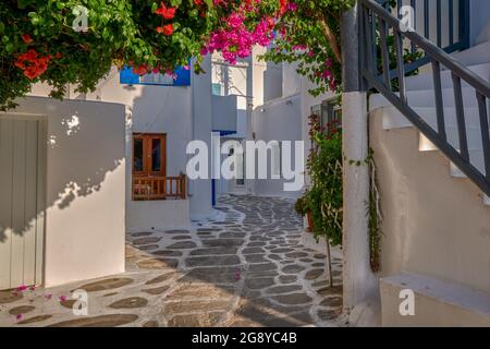 Bella strada tradizionale nella città dell'isola greca. Case bianche, bougainvillea in fiore, ciottoli. Mykonos, Grecia Foto Stock