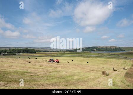 Haymaking a Malhamdale Foto Stock